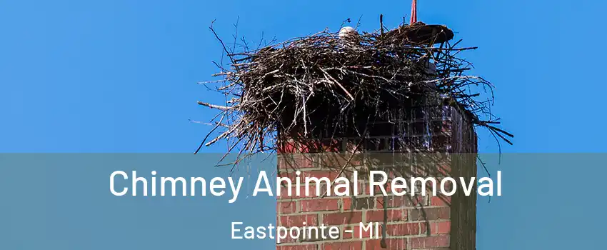 Chimney Animal Removal Eastpointe - MI