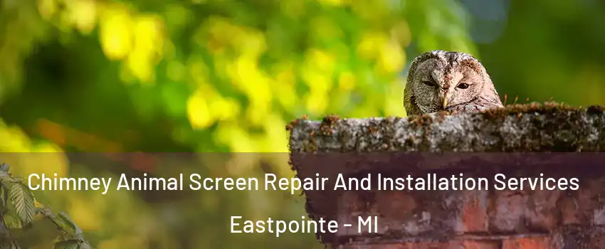  Chimney Animal Screen Repair And Installation Services Eastpointe - MI
