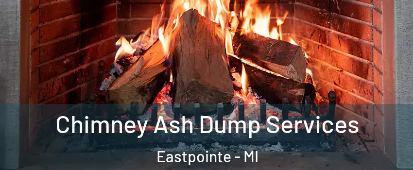  Chimney Ash Dump Services Eastpointe - MI
