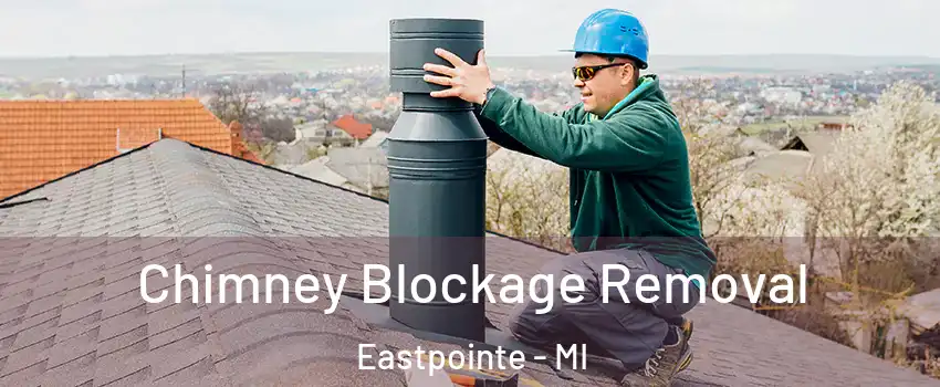  Chimney Blockage Removal Eastpointe - MI