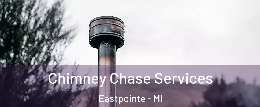  Chimney Chase Services Eastpointe - MI