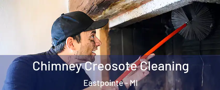  Chimney Creosote Cleaning Eastpointe - MI