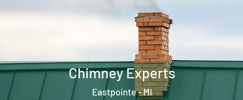 Chimney Experts Eastpointe - MI
