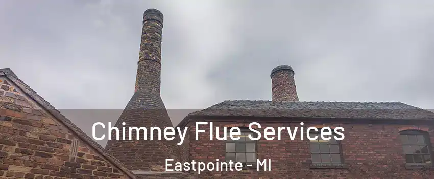  Chimney Flue Services Eastpointe - MI