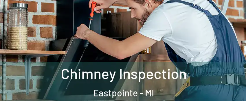  Chimney Inspection Eastpointe - MI