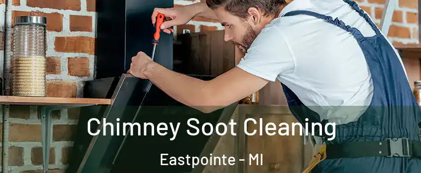  Chimney Soot Cleaning Eastpointe - MI