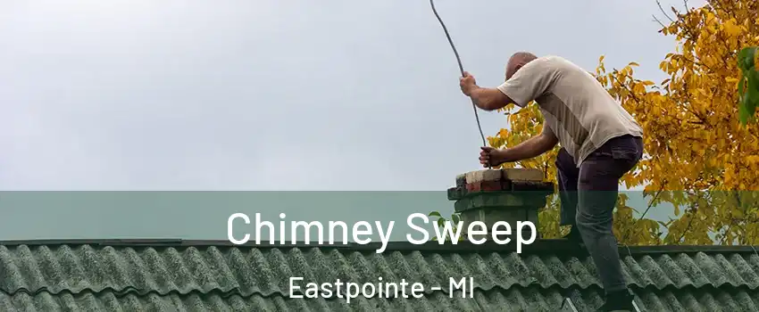  Chimney Sweep Eastpointe - MI