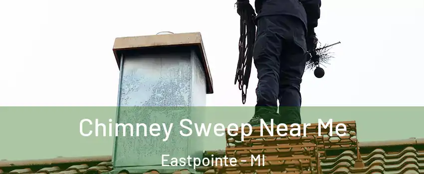  Chimney Sweep Near Me Eastpointe - MI