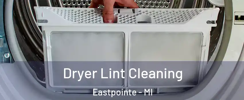  Dryer Lint Cleaning Eastpointe - MI
