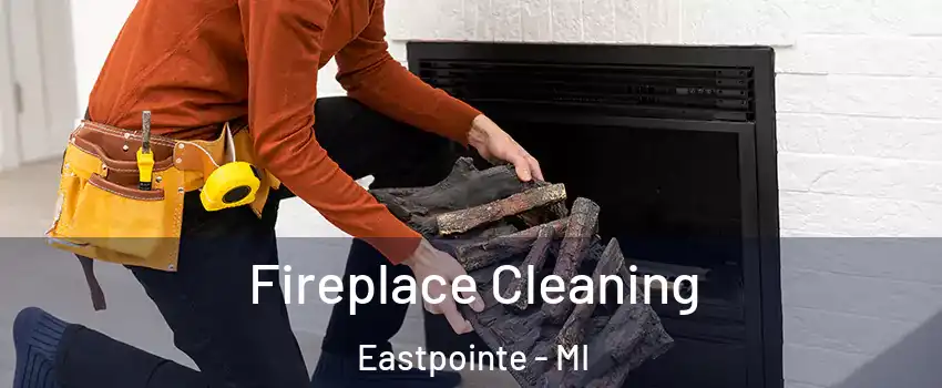  Fireplace Cleaning Eastpointe - MI