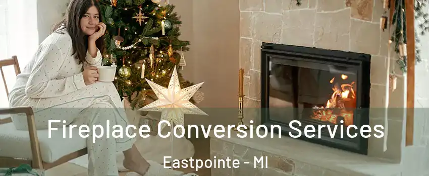  Fireplace Conversion Services Eastpointe - MI