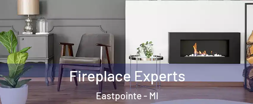 Fireplace Experts Eastpointe - MI