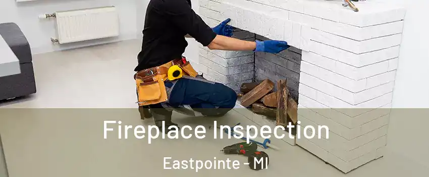 Fireplace Inspection Eastpointe - MI