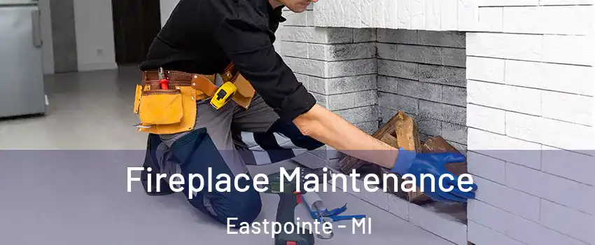  Fireplace Maintenance Eastpointe - MI