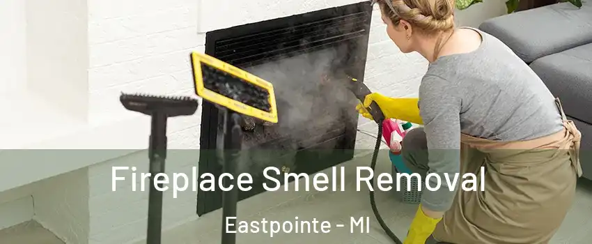  Fireplace Smell Removal Eastpointe - MI