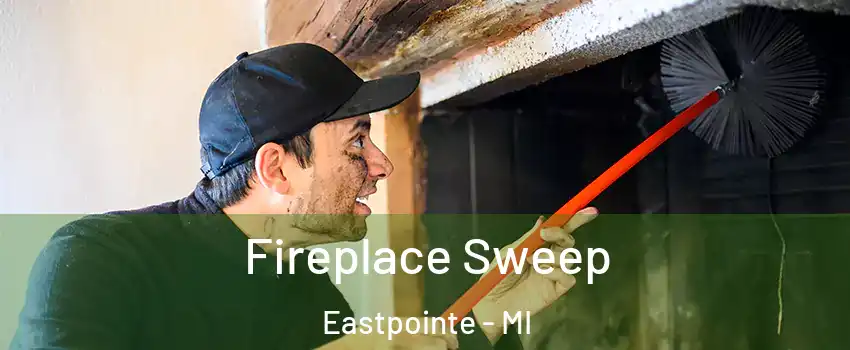  Fireplace Sweep Eastpointe - MI