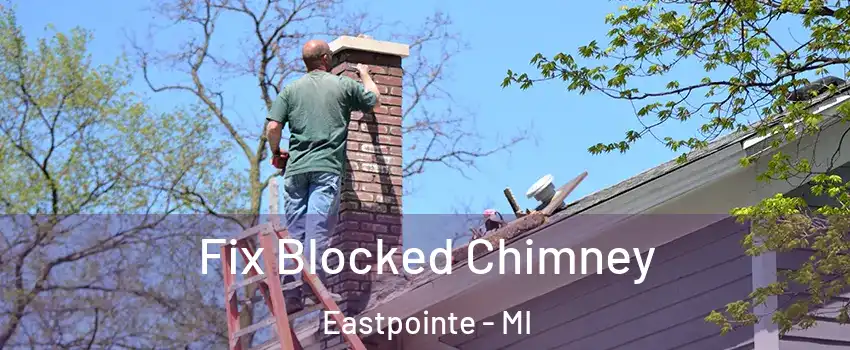  Fix Blocked Chimney Eastpointe - MI