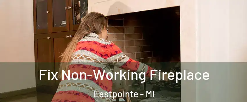  Fix Non-Working Fireplace Eastpointe - MI