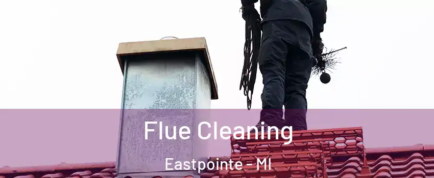  Flue Cleaning Eastpointe - MI