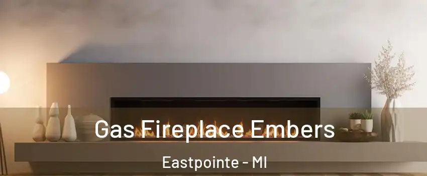  Gas Fireplace Embers Eastpointe - MI