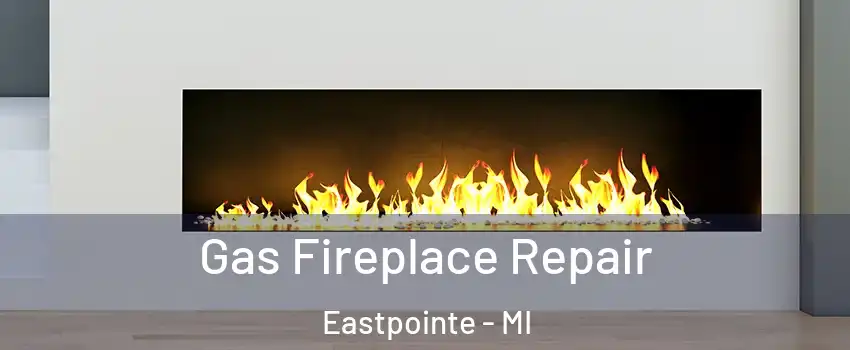  Gas Fireplace Repair Eastpointe - MI