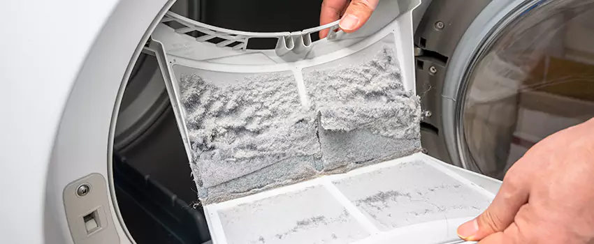 Best Dryer Lint Removal Company in Eastpointe, Michigan