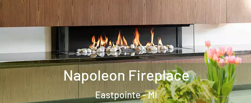  Napoleon Fireplace Eastpointe - MI