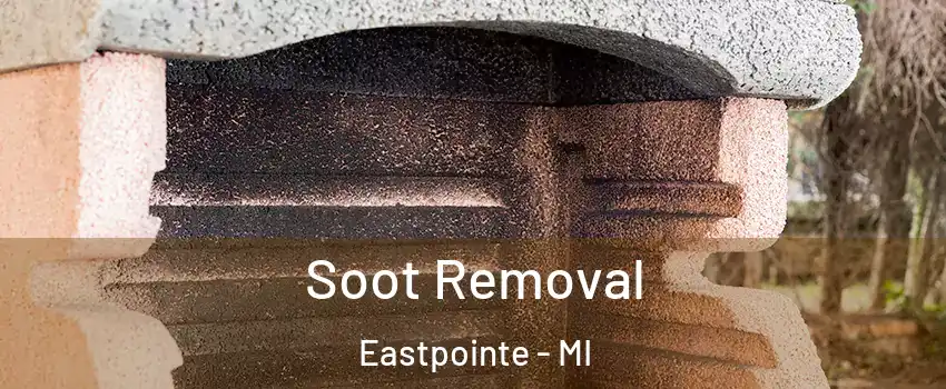  Soot Removal Eastpointe - MI