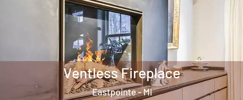  Ventless Fireplace Eastpointe - MI
